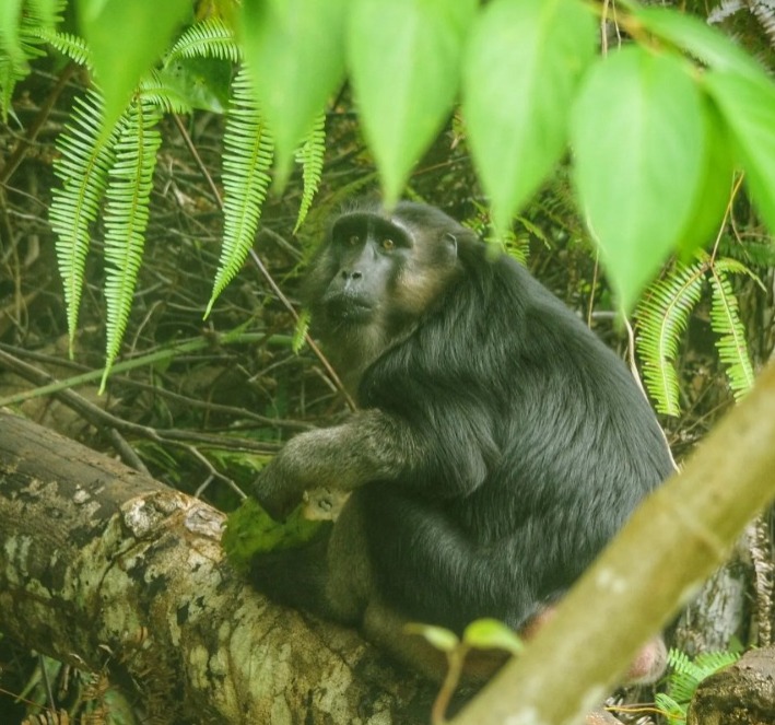 Berita Biodiversity 01