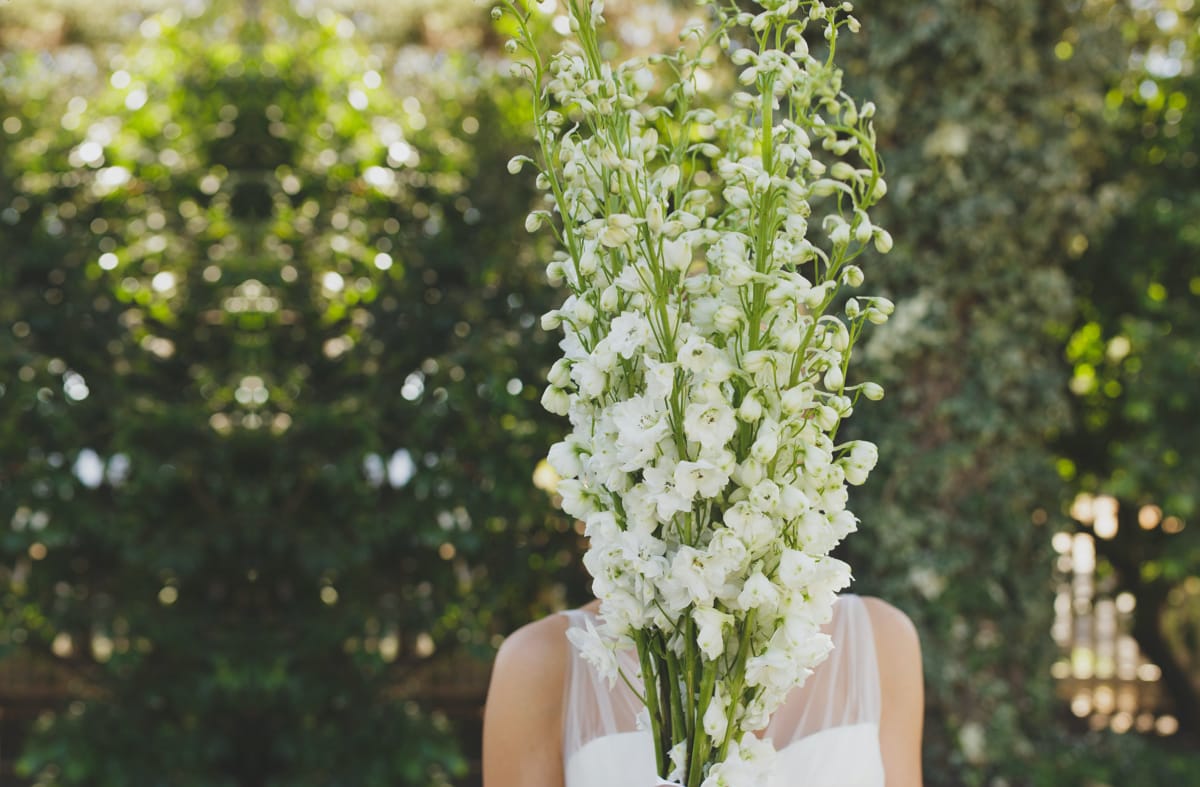 wedding-photographer-06