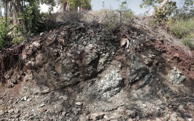 Serpentinite Pulau Wasubonti