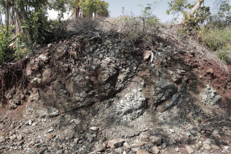 Serpentinite Pulau Wasubonti