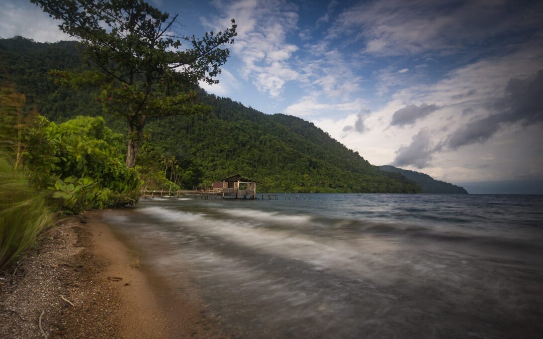 Rijang Berfoliasi Pantai Kupu-kupu Singkole