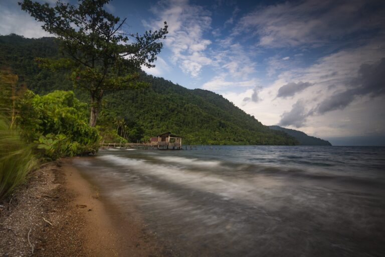 Rijang Berfoliasi Pantai Kupu-kupu Singkole