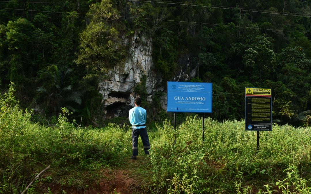 Gua Batugamping Andomo