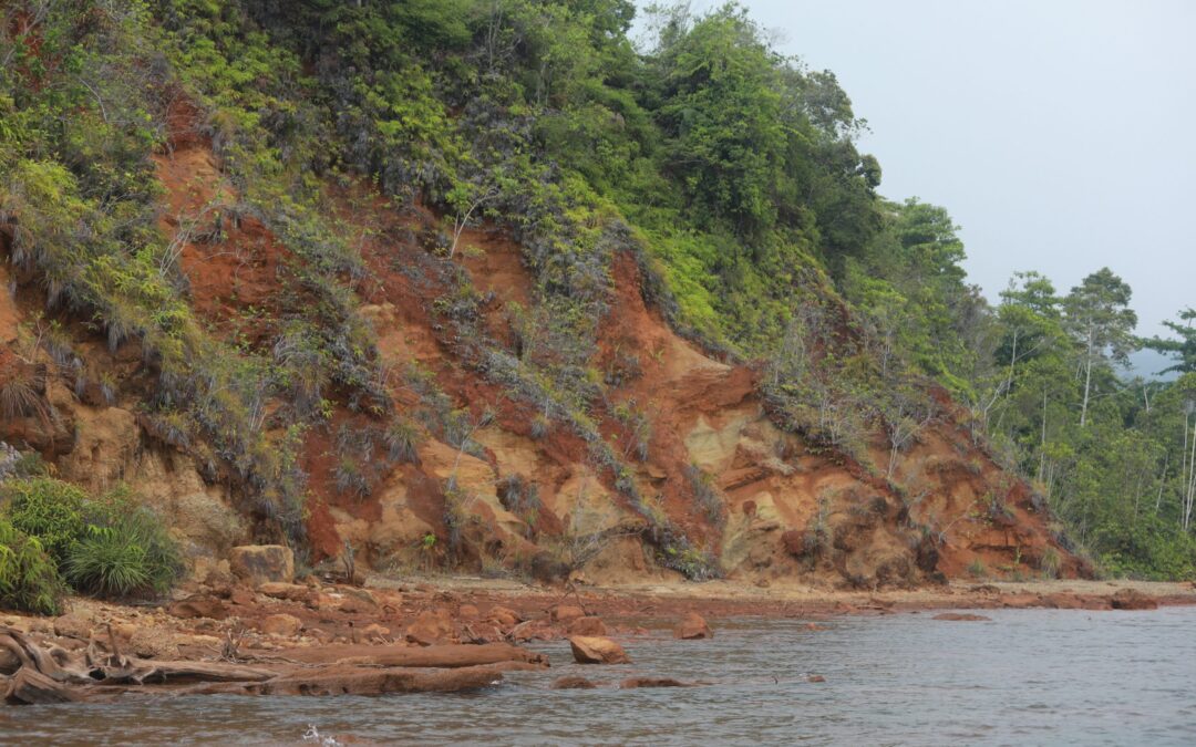 Endapan Kuarter Matano Tanah Merah