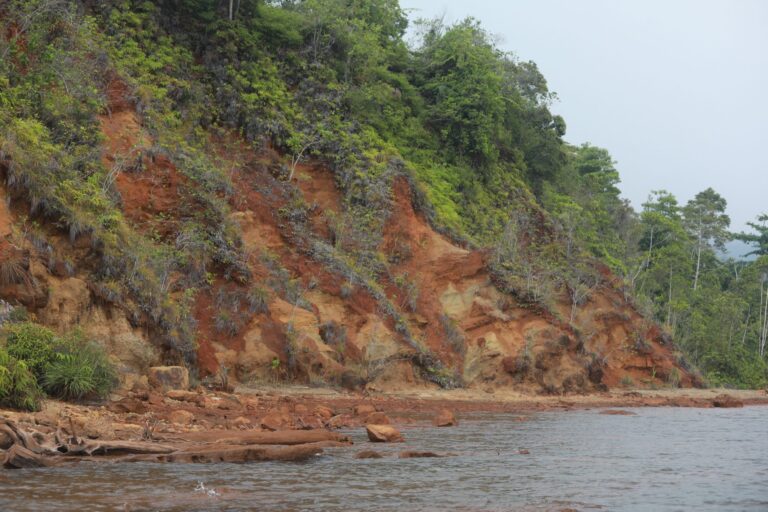 Endapan Kuarter Matano Tanah Merah