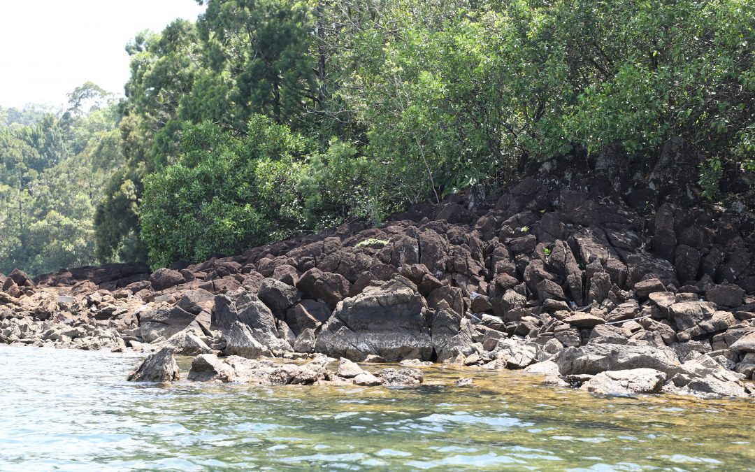  Hazburgite Pulau Langkai