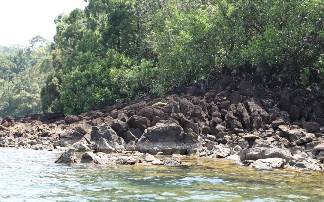  Hazburgite Pulau Langkai