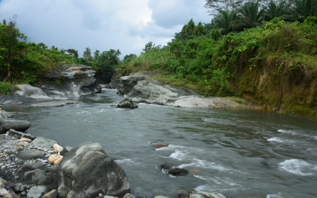 Napal Formasi Bone-bone