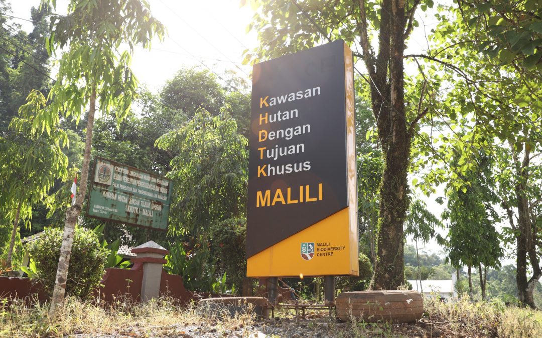 KHDTK Malili Biodiversity Centre (MBC)