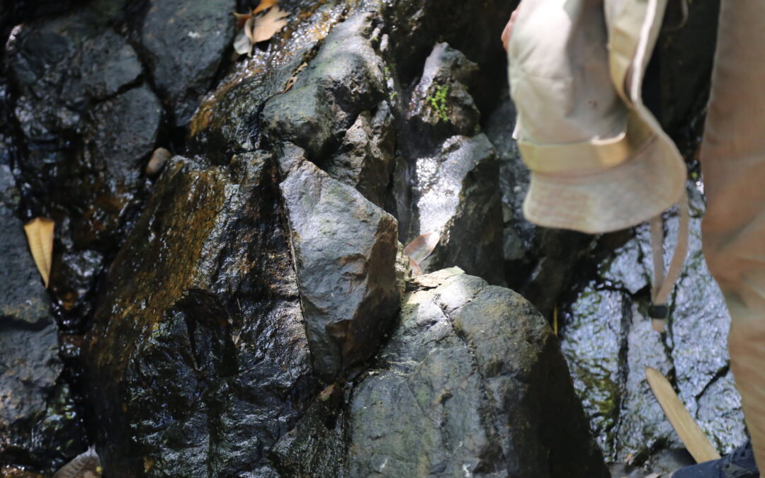 Air Terjun Mata Dewa