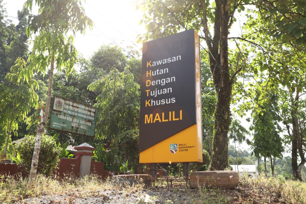 KHDTK Malili Biodiversity Center (MBC)