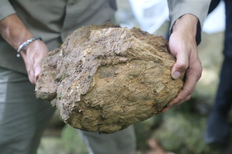 Travertine Tompotikka
