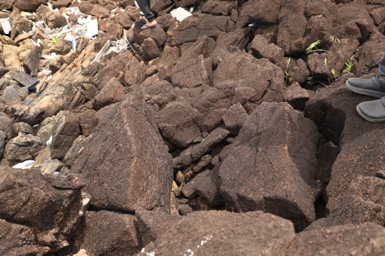 Hazburgite Pulau Langkai